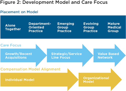 Figure 2: development model and care focus graphic