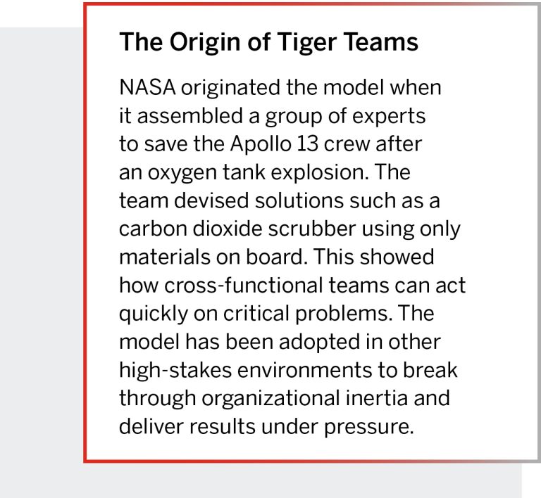 Origin-of-Tiger-Teams-768x708.jpg
